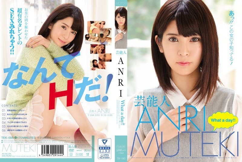 ANRIの第2位作品「芸能人ANRI What a day!!」のジャケット画像