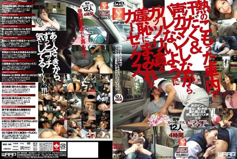 有賀あり 熱のこもった車内で汗だく&声ガマンしながらバレないようにガッツリ貪る羞恥にまみれたカーセックス パッケージ画像