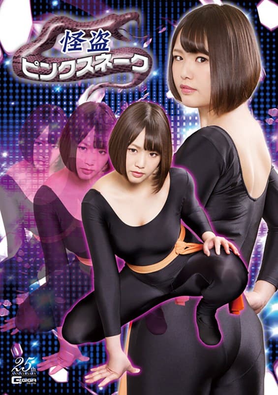 真田さな(真田美樹、真田みづ稀) 怪盗ピンクスネーク 真田みづ稀 パッケージ画像